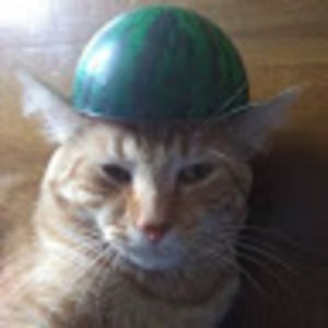 Meet your Posher, Mrcowdawg